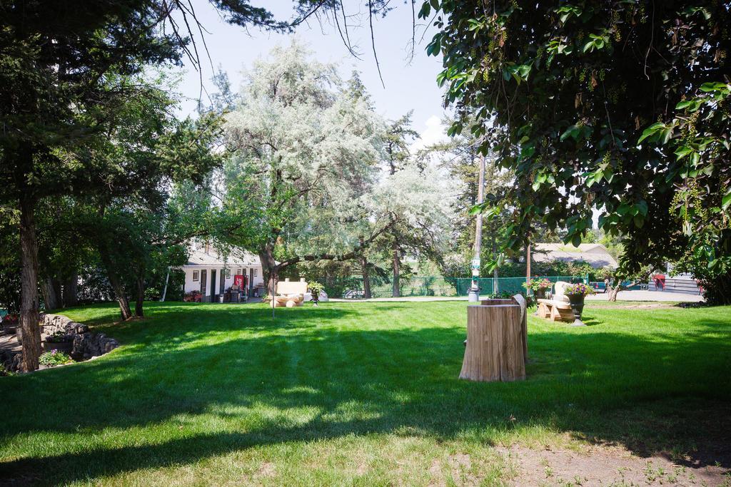 Lakeside Motel Вільямс-Лейк Екстер'єр фото